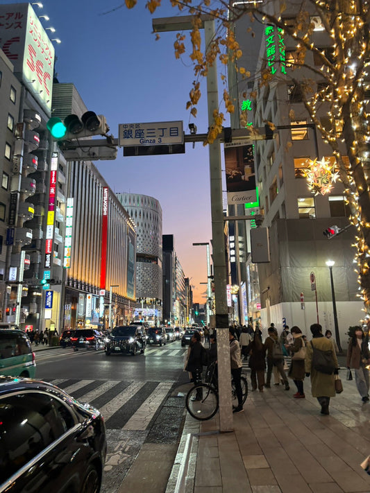 Digital travel map on smartphone showing curated locations in Tokyo
